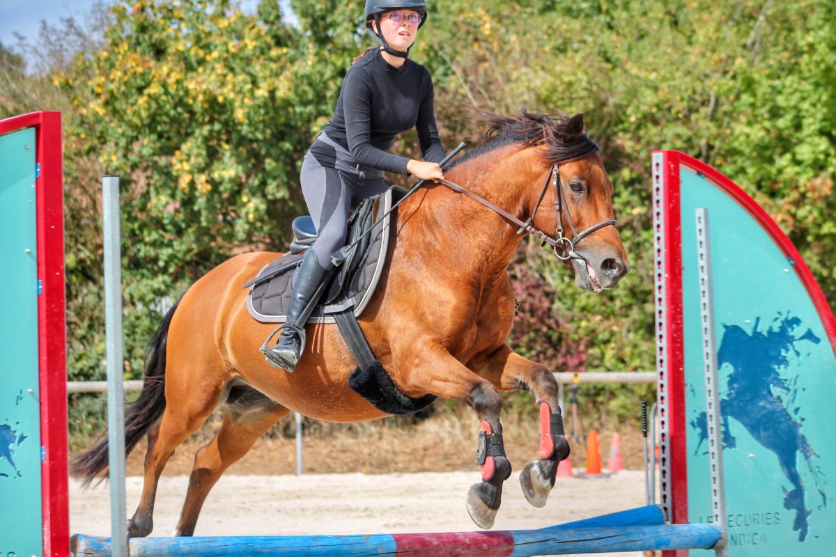 Planning des cours cheval et poney | Ecuries au Coeur de L'Isle Adam